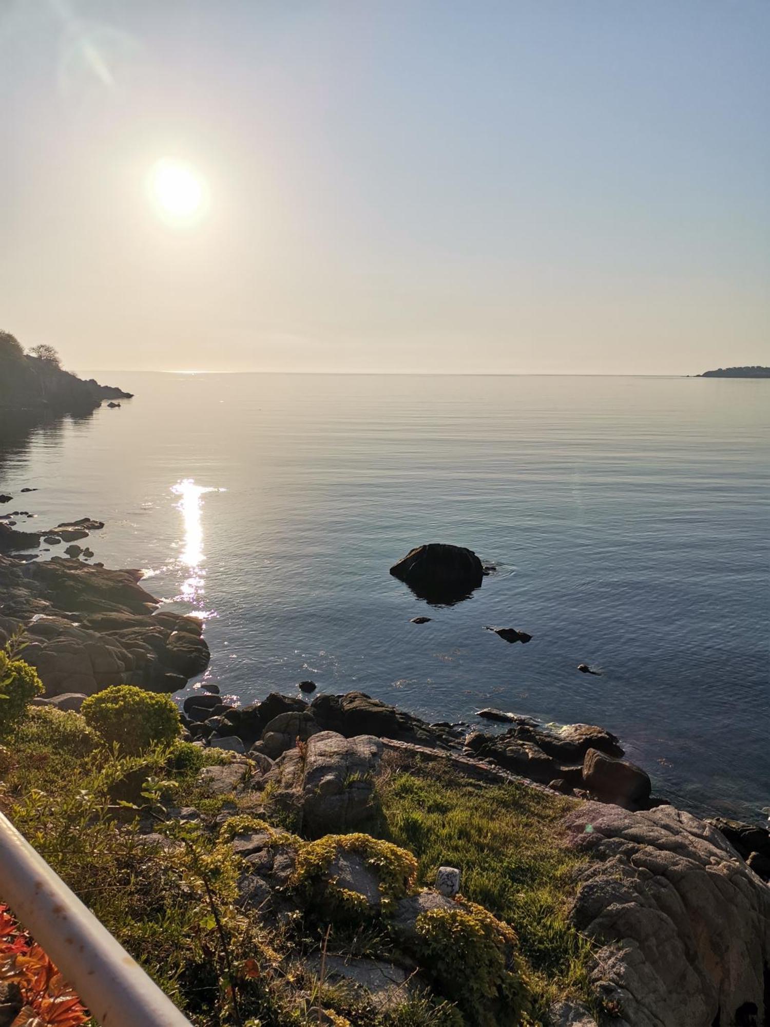 Villa Vesela Szozopol Kültér fotó